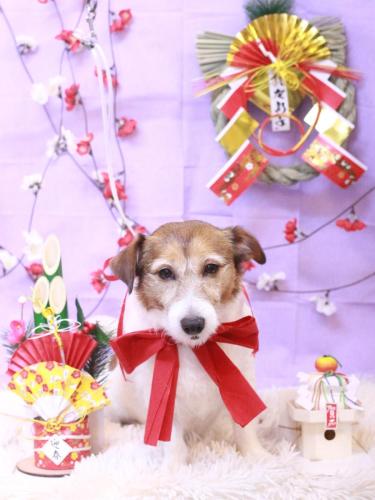 20230125こはるちゃん